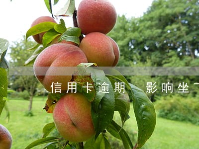 信用卡逾期 影响坐飞机 信用卡逾期 影响坐飞机